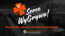 SerceWyGrywa! Na pomoc zwierzakom poszkodowanym w powodzi.